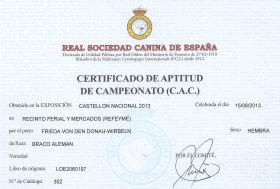 Certificado de actitud de campeonato (C.A.C) Castellón 2013